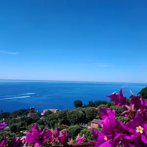 Azur Apartamento